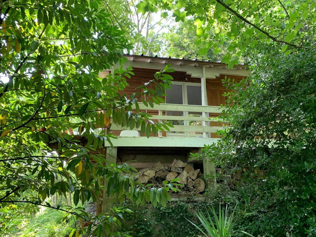 르꾸드레몽소 Chalet En Bord De Seine 빌라 외부 사진